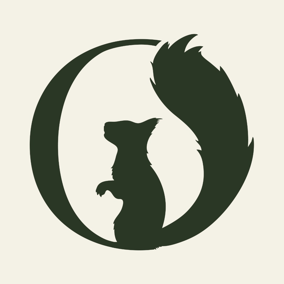 Symfaunia | Un voyage immersif et créatif au cœur du vivant