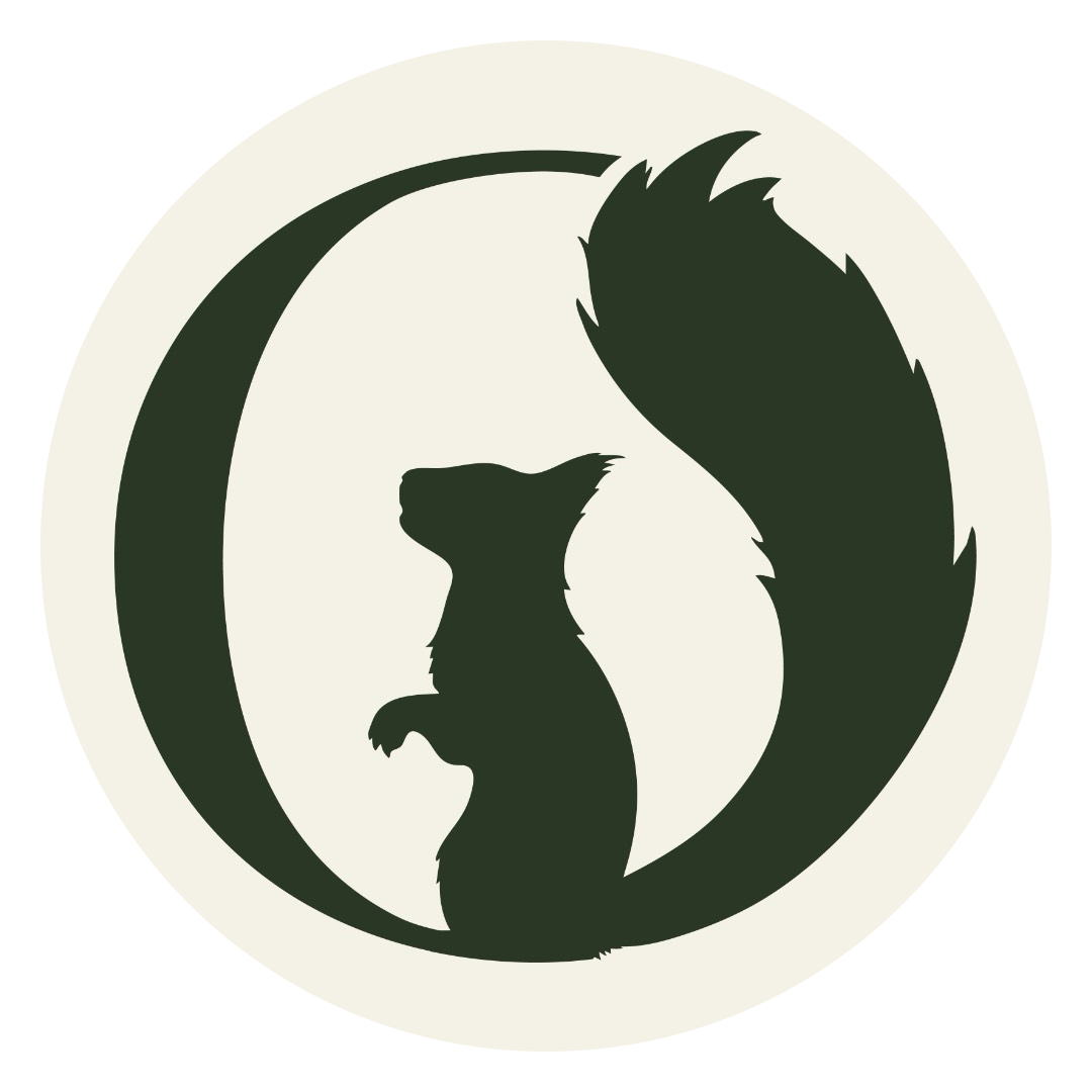 Symfaunia | Un voyage immersif et créatif au cœur du vivant